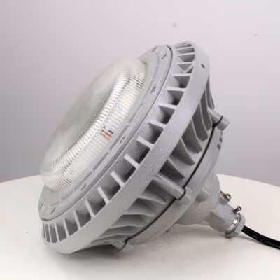 Explosion-Proof Light BED60-IVA detail