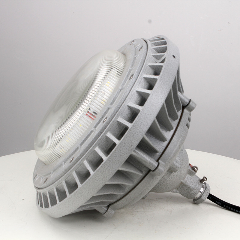 Explosion-Proof Light BED60-IVA detail