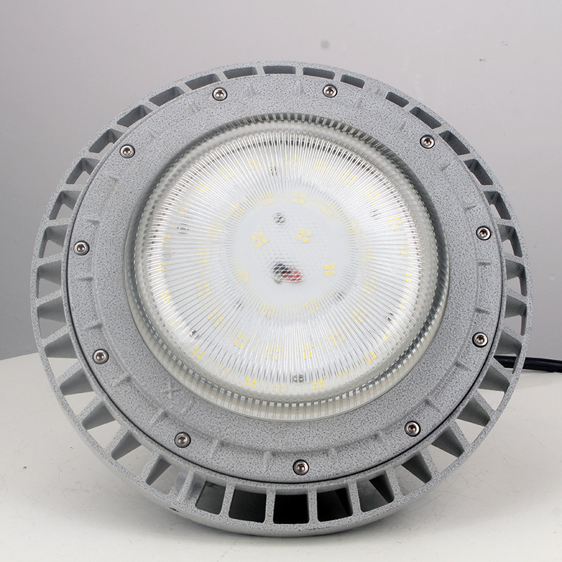 Explosion-Proof Light BED61-IV detail
