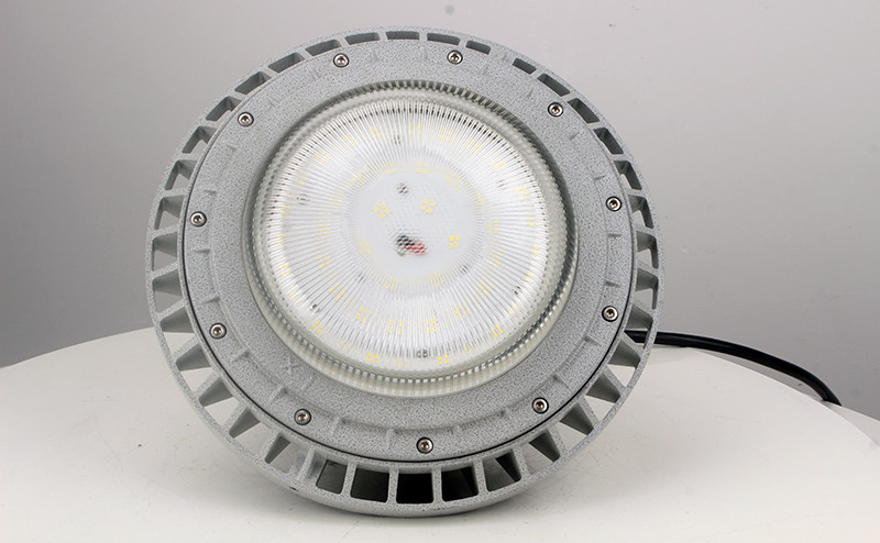 Explosion Proof Light BED61-IV - Explosion Proof Light - 3