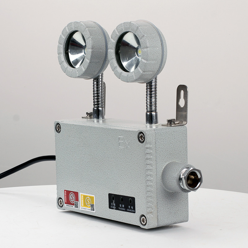 Explosion-Proof Emergency Light BCJ51 detail