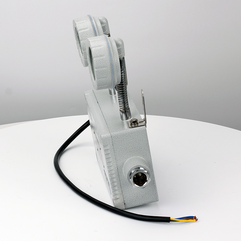Explosion-Proof Emergency Light BCJ51 detail