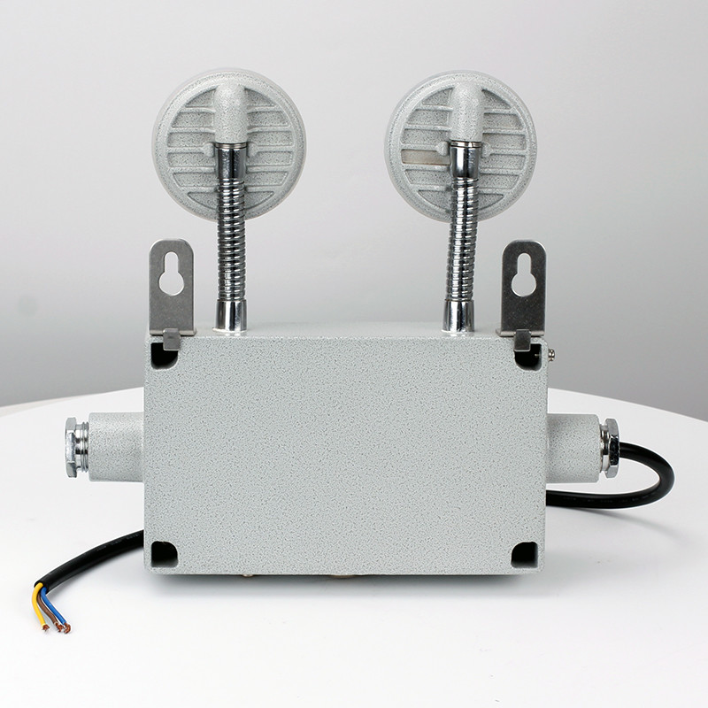 Explosion-Proof Emergency Light BCJ51 detail