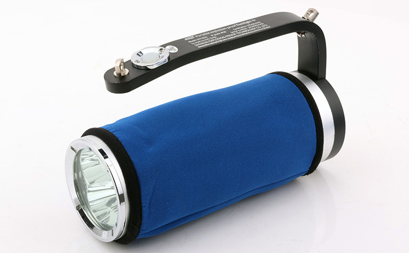 explosion-proof flashlight rjw7101-13
