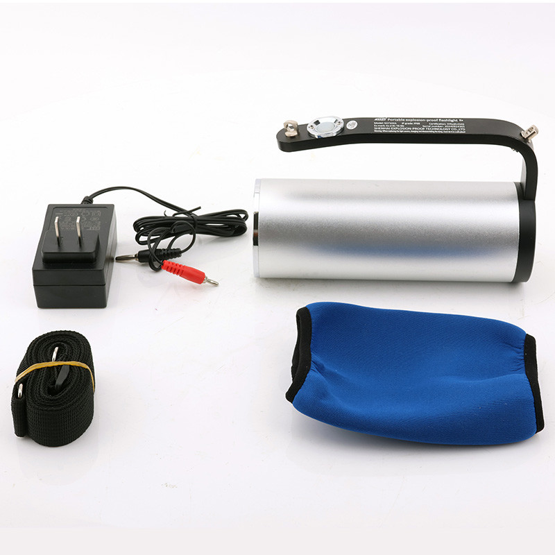 Explosion-Proof Flashlight RJW7101 detail