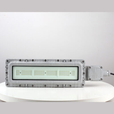 Explosion-Proof Linear Light BPY96-II detail