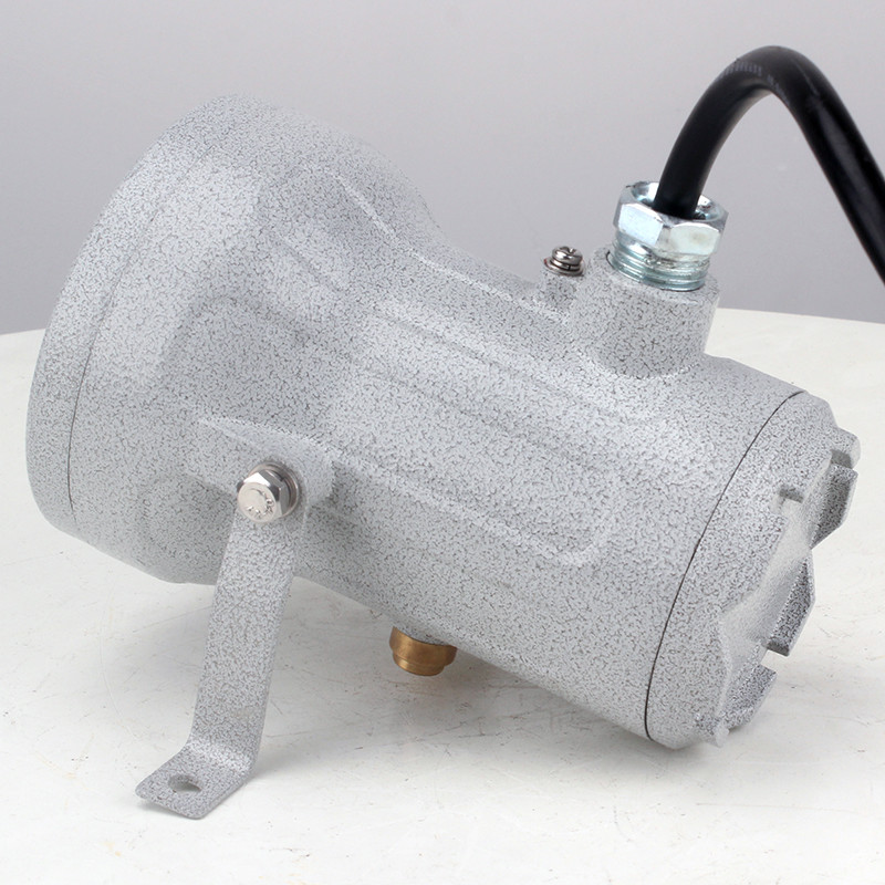 Explosion-Proof Sight Glass Light BSD51 detail