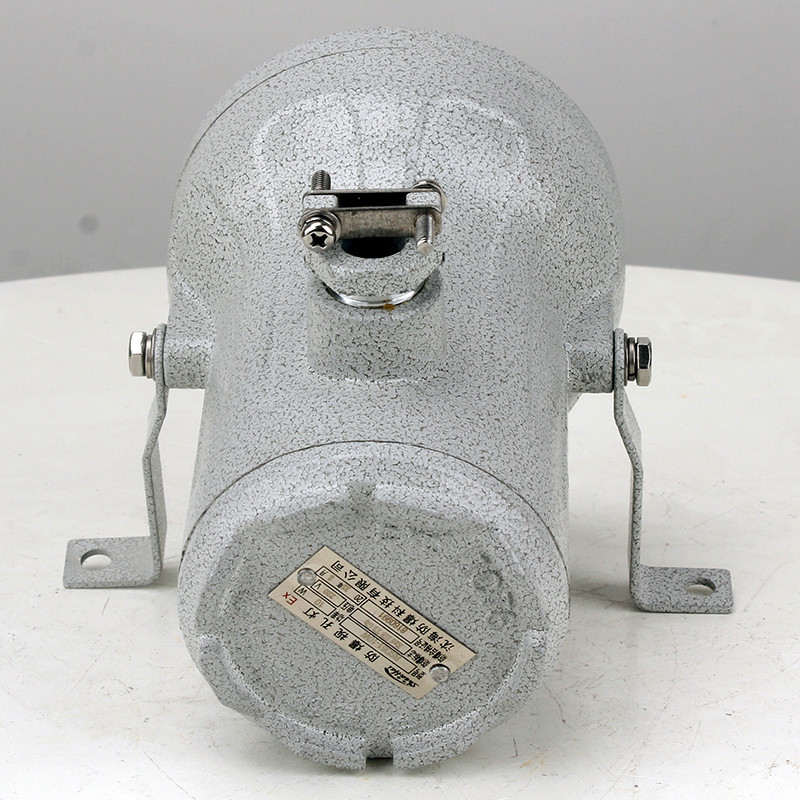 Explosion-Proof Sight Glass Light BSD51 detail