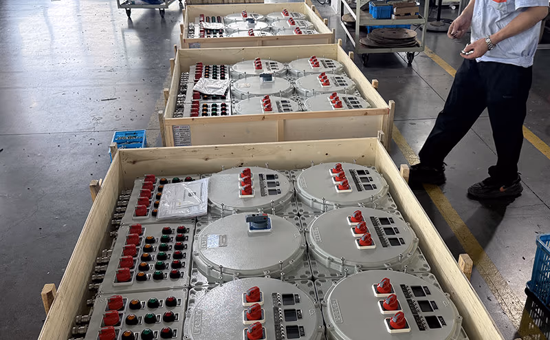 Caja de distribución antideflagrante de doble módulo bx51-11