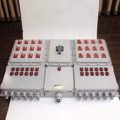 Dual Module Explosion-Proof Distribution Box BX51 detail