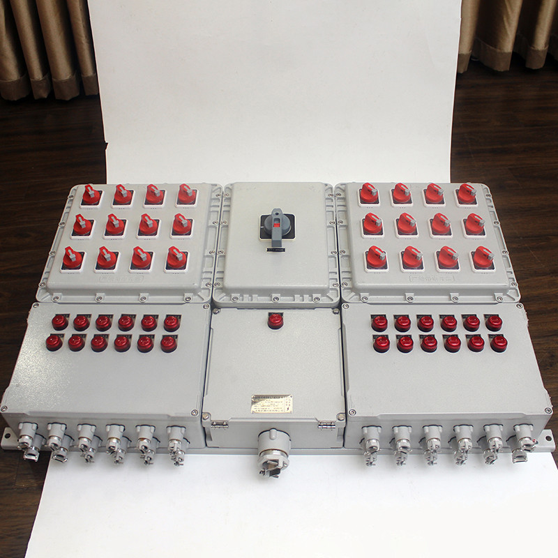 Dual Module Explosion-Proof Distribution Box BX51 detail