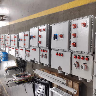 Dual Module Explosion-Proof Distribution Box BX51 detail