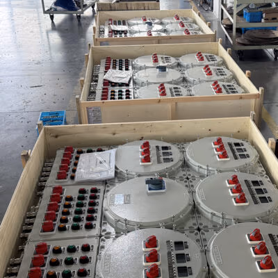 Dual Module Explosion-Proof Distribution Box BX51 detail