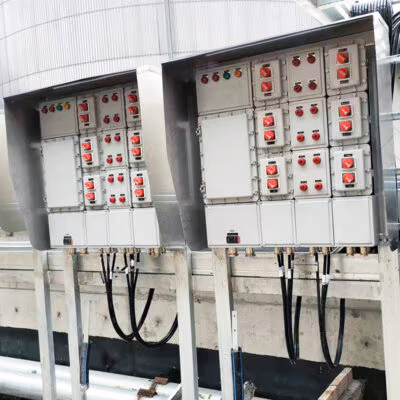 Dual Module Explosion-Proof Distribution Box BX51 detail