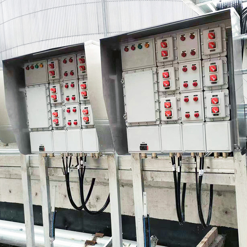 Dual Module Explosion-Proof Distribution Box BX51 detail