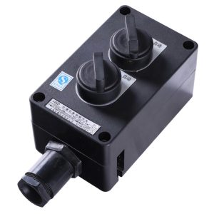 Explosion Proof Anti-Corrosion Lighting Switch BZM8030