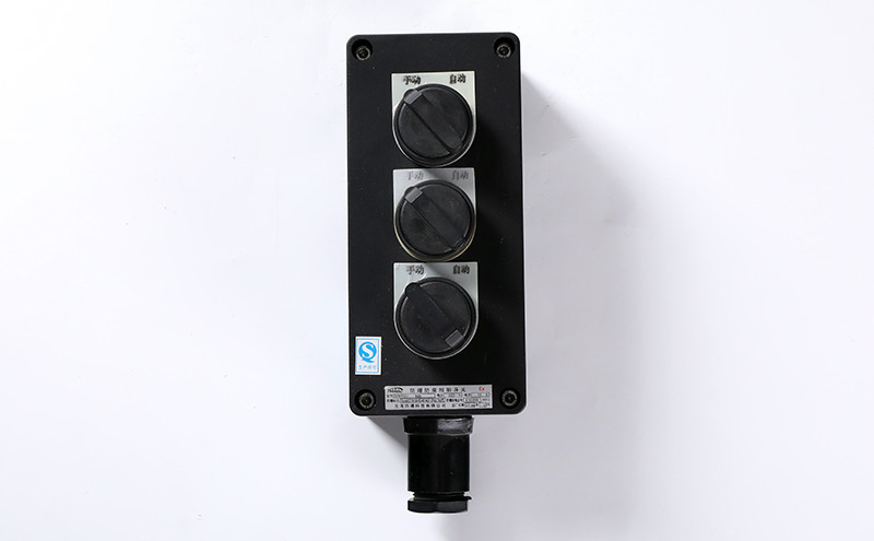 Explosion Proof Anti-Corrosion Lighting Switch BZM8030 - Explosion Proof Button Switch - 4
