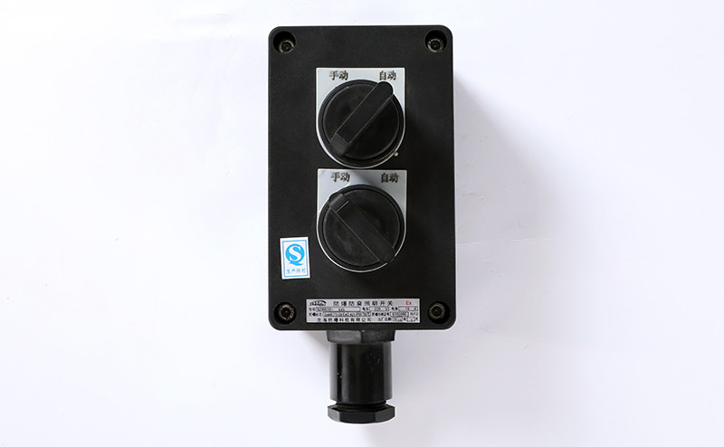 explosion proof and anti-corrosion lighting switch bzm8030-8