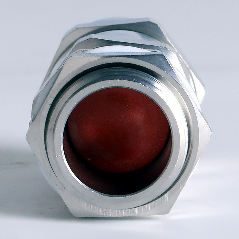 Explosion Proof Cable Gland Bdm vi 5 Shenhai Explosion Proof hazardous-location-classification
