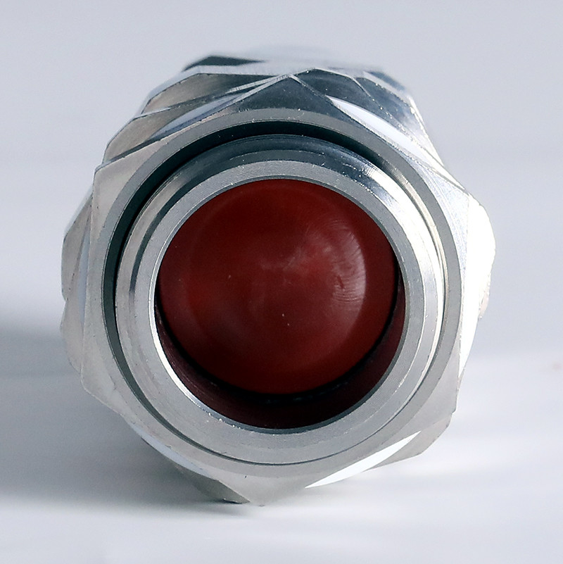 Explosion-Proof Cable Gland BDM-VII detail