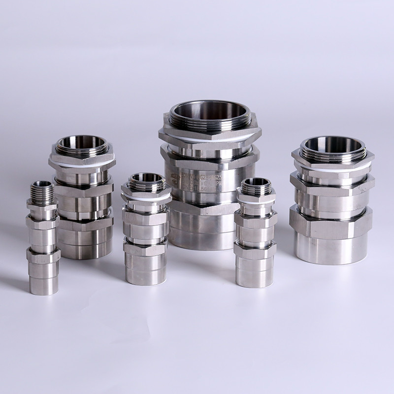 Explosion-Proof Cable Gland BDM-VIII-I detail