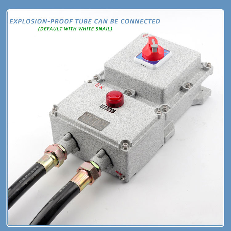 Explosion Proof Circuit Breaker BZD52 - Explosion Proof Button Switch - 5