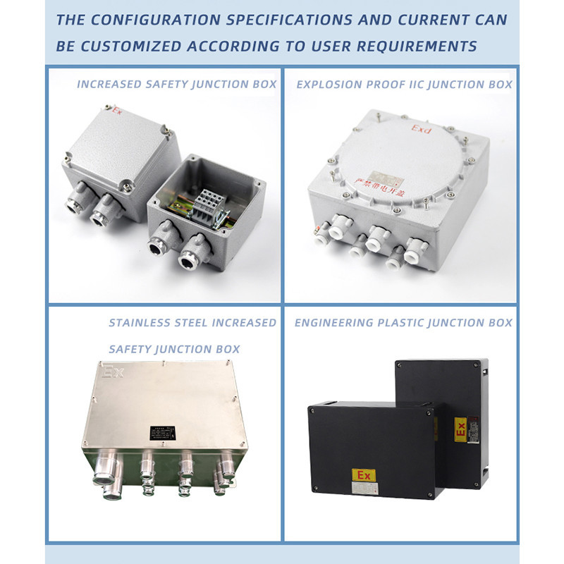 Explosion-Proof Circuit Breaker BZD52 detail
