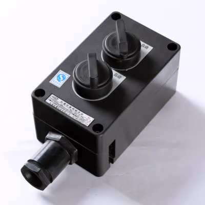Explosion-Proof Corrosion-Resistant Lighting Switch BZM8030 detail