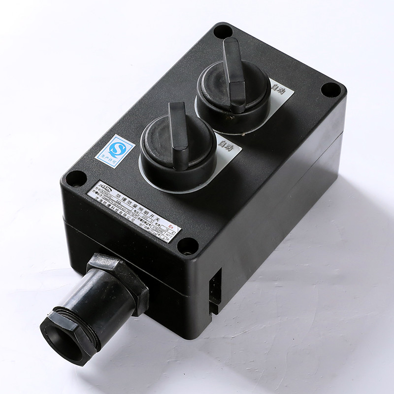 Explosion-Proof Corrosion-Resistant Lighting Switch BZM8030 detail