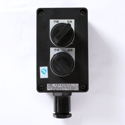 Explosion-Proof Corrosion-Resistant Lighting Switch BZM8030 detail