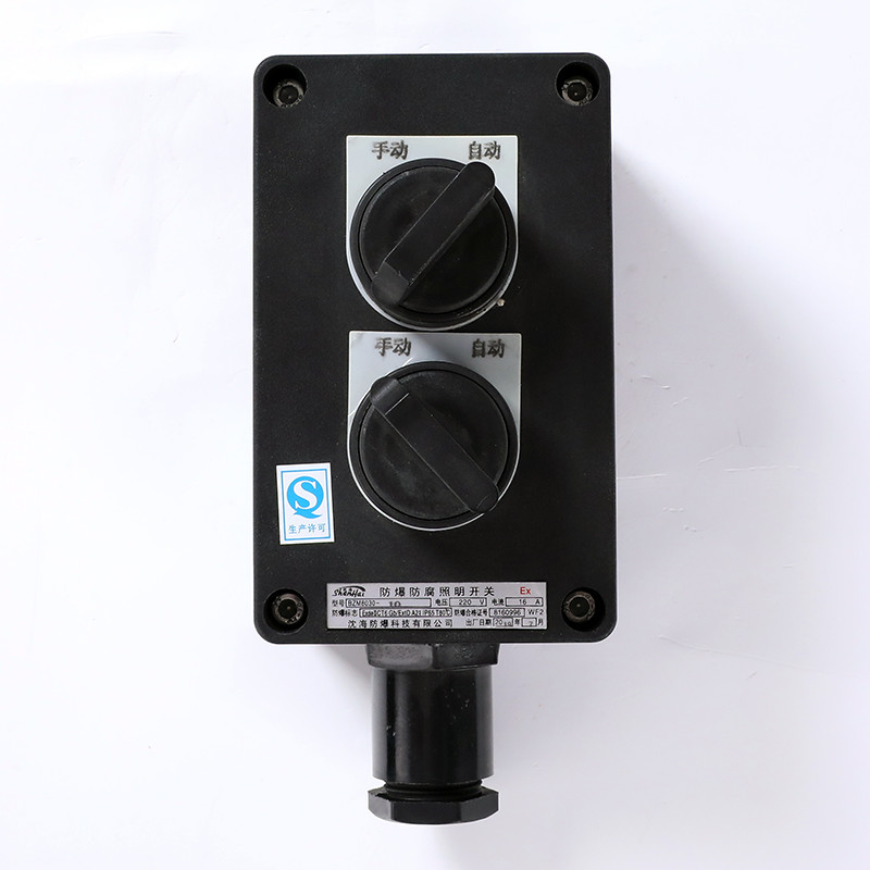 Explosion-Proof Corrosion-Resistant Lighting Switch BZM8030 detail