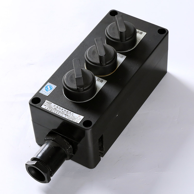 Explosion-Proof Corrosion-Resistant Lighting Switch BZM8030 detail