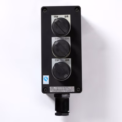 Explosion-Proof Corrosion-Resistant Lighting Switch BZM8030 detail