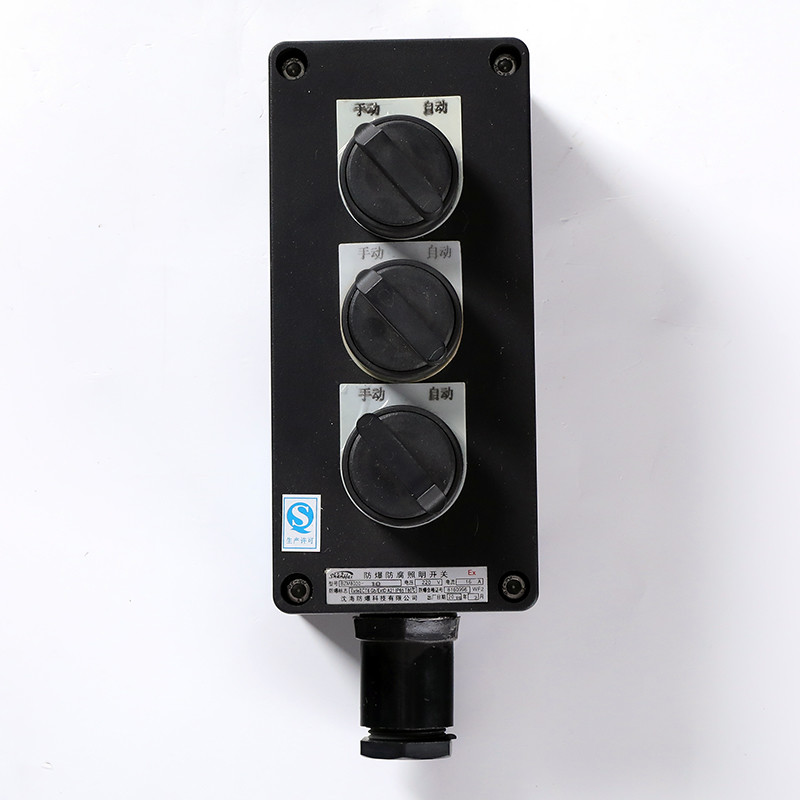 Explosion-Proof Corrosion-Resistant Lighting Switch BZM8030 detail