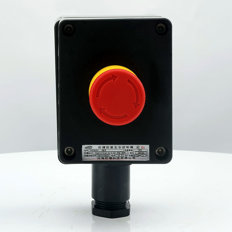 Explosion-Proof Corrosion-Resistant Single Push Button ZXF8030 detail