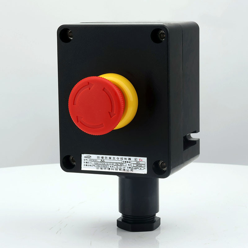 Explosion-Proof Corrosion-Resistant Single Push Button ZXF8030 detail