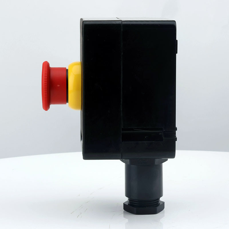 Explosion-Proof Corrosion-Resistant Single Push Button ZXF8030 detail