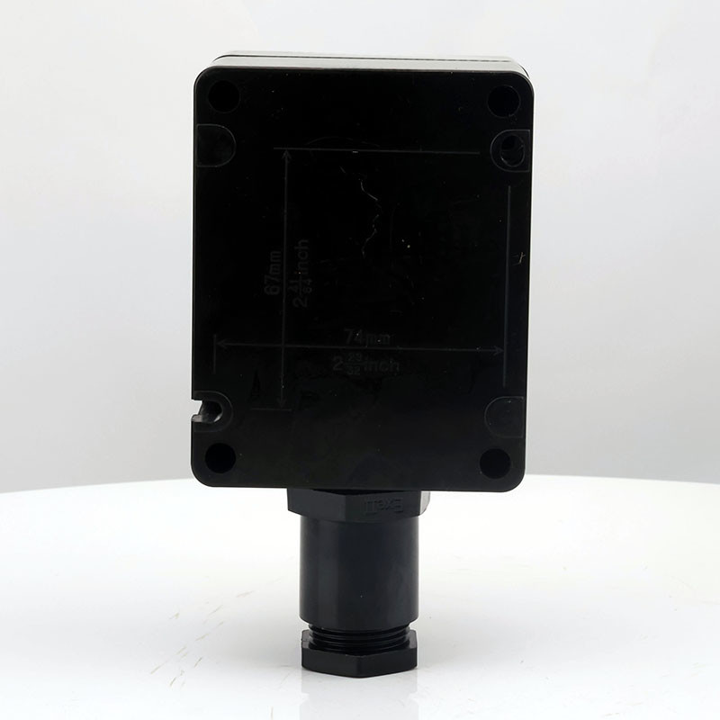 Explosion-Proof Corrosion-Resistant Single Push Button ZXF8030 detail