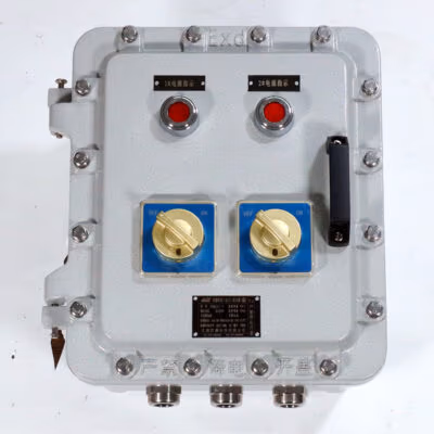 Explosion-Proof Distribution Box BX53-I detail