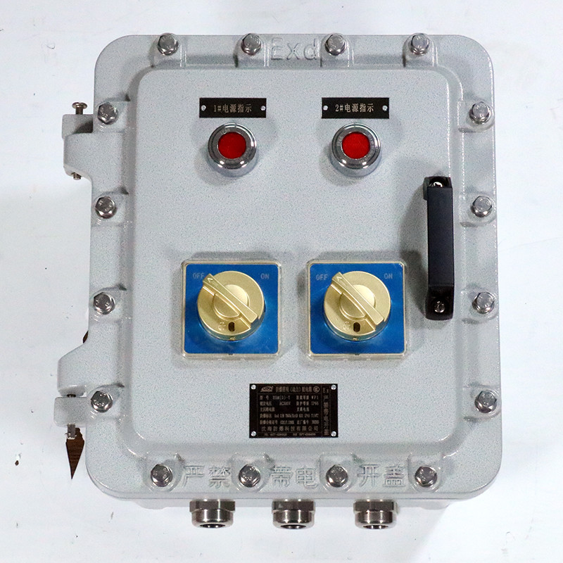 Explosion-Proof Distribution Box BX53-I detail