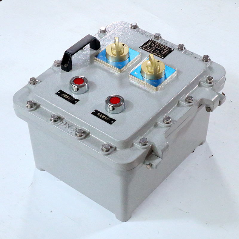 Explosion-Proof Distribution Box BX53-I detail