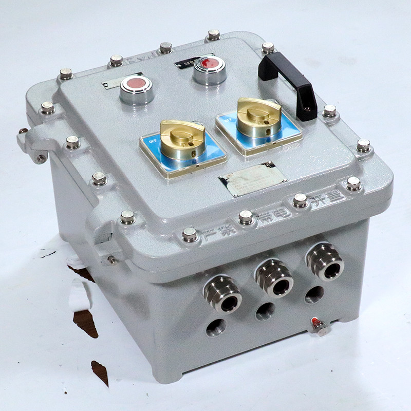 Explosion-Proof Distribution Box BX53-I detail