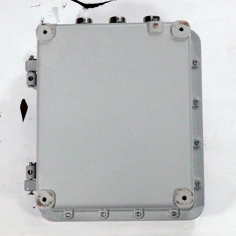 Explosion-Proof Distribution Box BX53-I detail