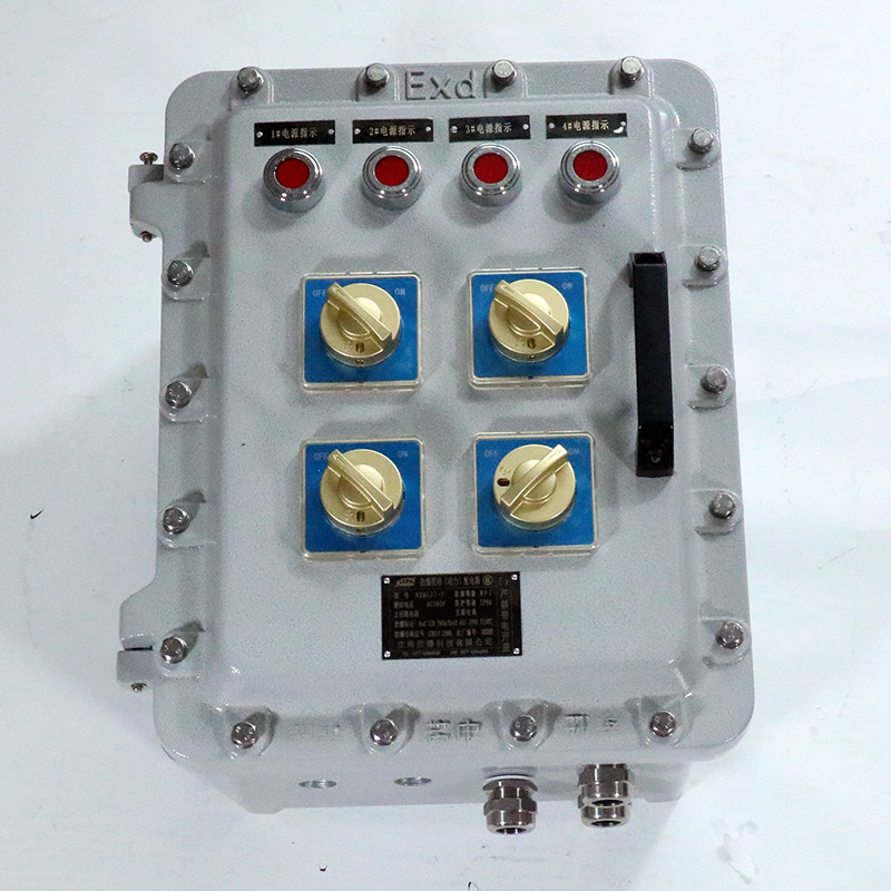 Explosion-Proof Distribution Box BX53-II detail