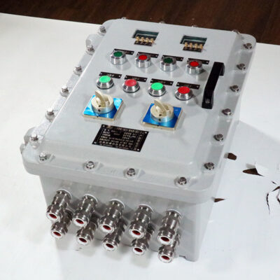 Explosion-Proof Distribution Box BX53-III detail