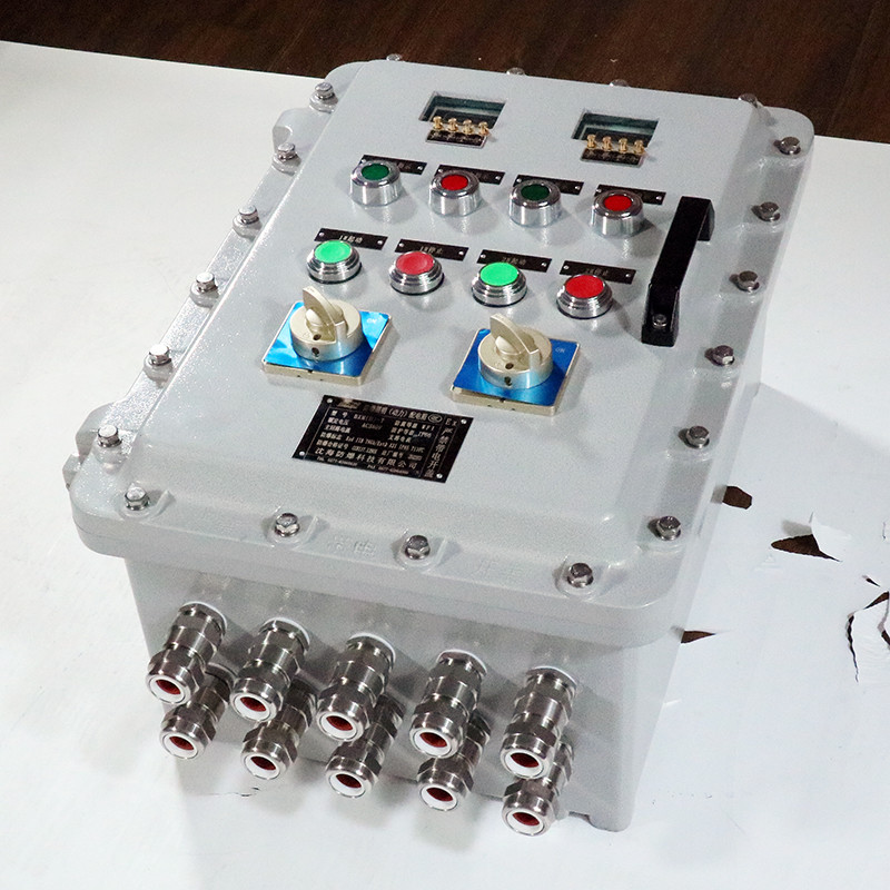 Explosion-Proof Distribution Box BX53-III detail