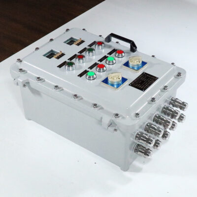 Explosion-Proof Distribution Box BX53-III detail
