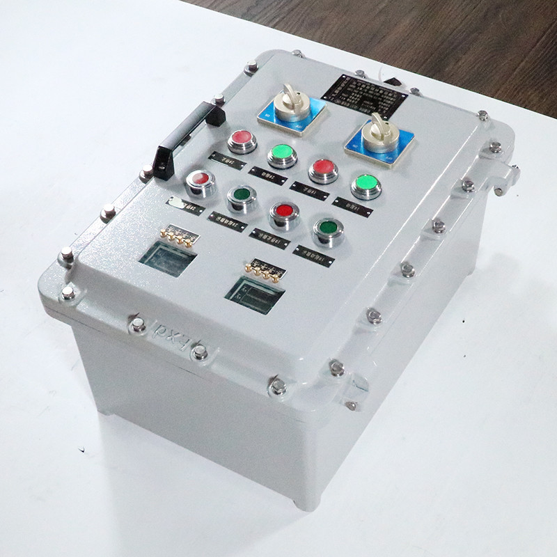 Explosion-Proof Distribution Box BX53-III detail