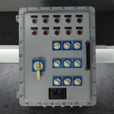 Explosion-Proof Distribution Box BX53-IV detail