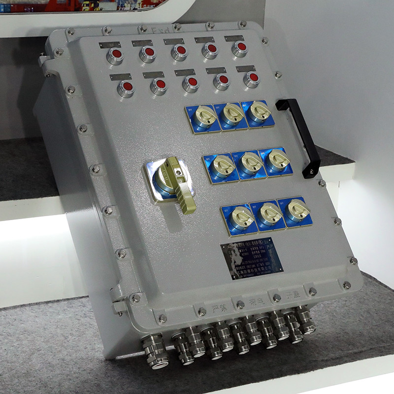 Explosion-Proof Distribution Box BX53-IV detail